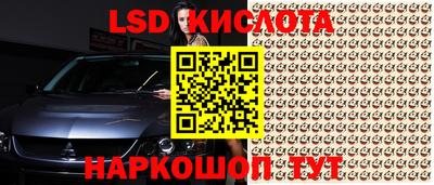 стаф Обнинск