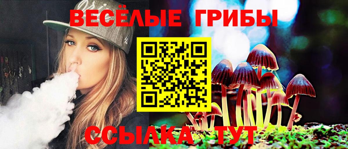 где купить наркоту  Галлюциногенные грибы мухоморы  Сланцы  Вход с VPN  Галлюциногенные грибы мицелий 